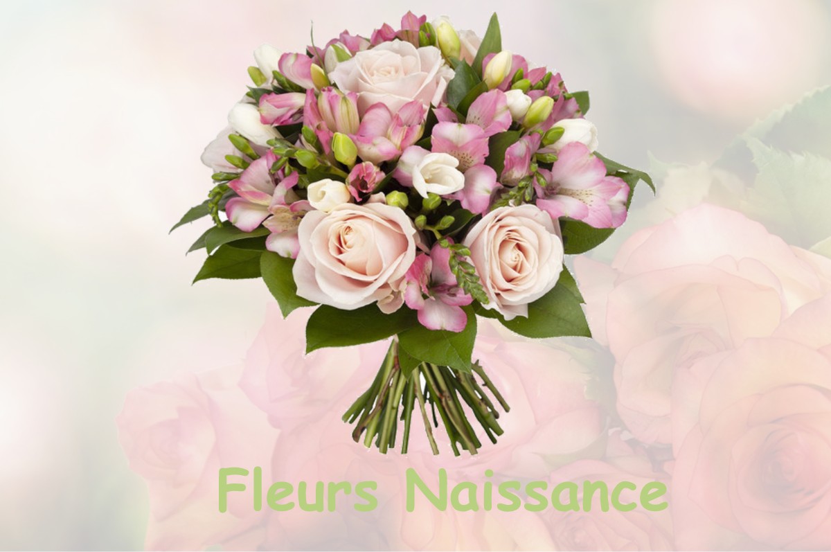 fleurs naissance FRONTON